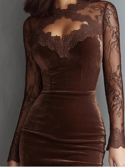 Spring Lace Long Sleeve Bodycon